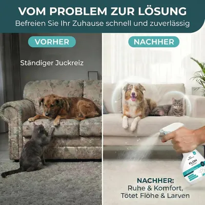 HomePetLab Floh Spray für Wohnung und Möbel - 500ml Sprühflasche