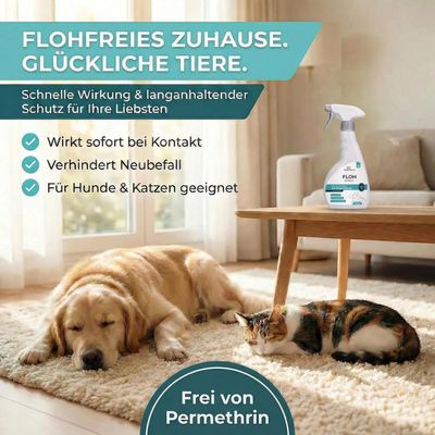 HomePetLab Floh Spray für Wohnung und Möbel - 500ml Sprühflasche