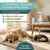 HomePetLab Floh Spray für Wohnung und Möbel - 500ml Sprühflasche