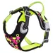 Hurtta Weekend Warrior Geschirr neon