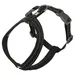 Hurtta Casual Y-Geschirr raven (schwarz)