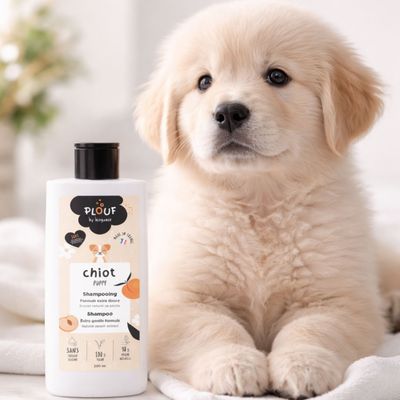 Shampooing Chiot