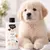 Shampooing Chiot Shampooing Chiot