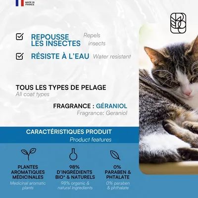 Collier répulsif pour chat/chaton Collier répulsif pour chat/chaton