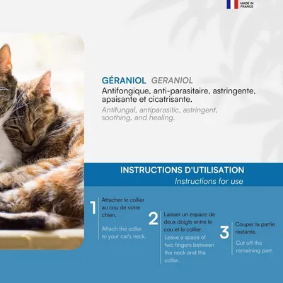 Collier répulsif pour chat/chaton Collier répulsif pour chat/chaton