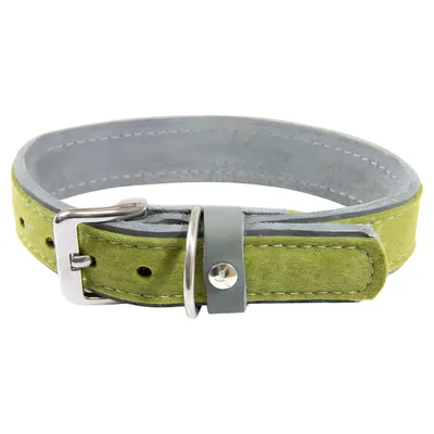 Das Lederband Hundehalsband Norden Lime/Granite Das Lederband Hundehalsband Norden Lime/Granite
