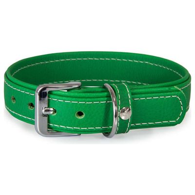 Das Lederband Hundehalsband Barcelona Summer-Green