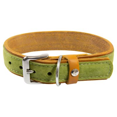 Das Lederband Hundehalsband Norden Lime/Maroon