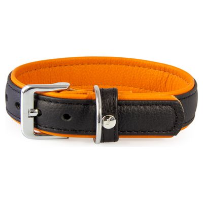 Das Lederband Hundehalsband Denver schwarz/cognac