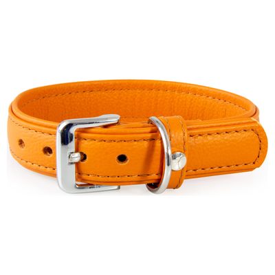 Das Lederband Hundehalsband Denver cognac/cognac