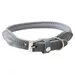 Das Lederband Hundehalsband rundgenäht Dublin Granite