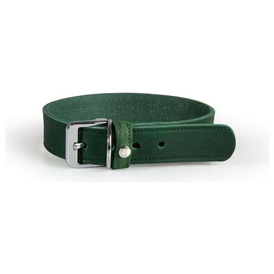 Das Lederband Hundehalsband Weinheim Hunting Green