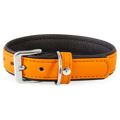 Das Lederband Hundehalsband Denver cognac/schwarz