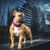 Länge: 42 cm