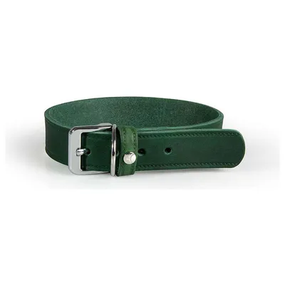 Das Lederband Hundehalsband Weinheim Hunting Green Das Lederband Hundehalsband Weinheim Hunting Green