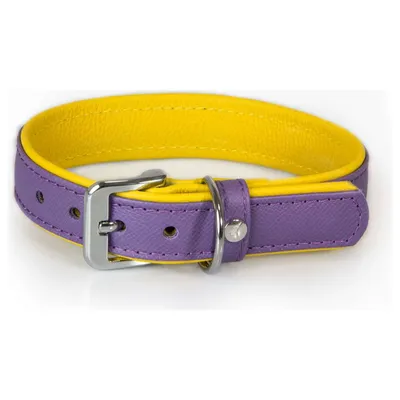 Das Lederband Hundehalsband Firenze Lilac/Sunshine Das Lederband Hundehalsband Firenze Lilac/Sunshine