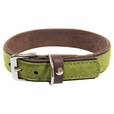 Das Lederband Hundehalsband Norden Lime/Mocca