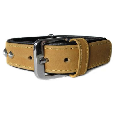 Das Lederband Hundehalsband Roma sand/schwarz