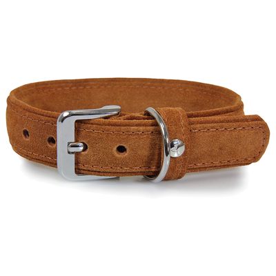 Das Lederband Hundehalsband Toronto cognac/cognac