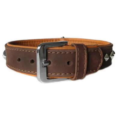 Das Lederband Hundehalsband Roma mocca/cognac Das Lederband Hundehalsband Roma mocca/cognac