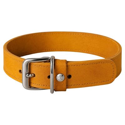 Das Lederband Hundehalsband Weinheim Yellow