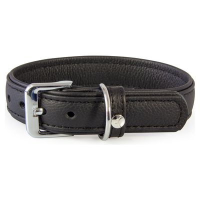 Das Lederband Hundehalsband Denver schwarz/schwarz