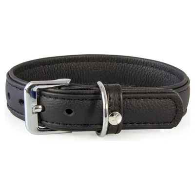 Das Lederband Hundehalsband Denver schwarz/schwarz Das Lederband Hundehalsband Denver schwarz/schwarz