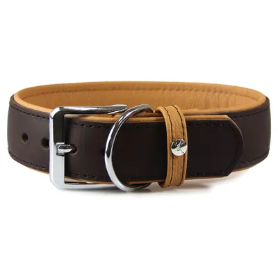 Das Lederband Hundehalsband Vancouver mocca/caramel Das Lederband Hundehalsband Vancouver mocca/caramel