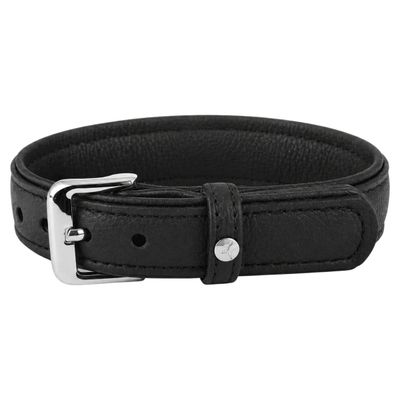 Das Lederband Hundehalsband Denver V2 Black