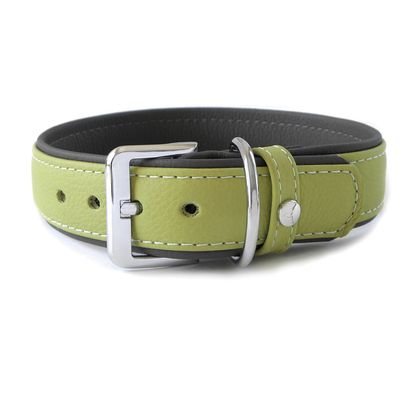 Das Lederband Hundehalsband Amsterdam lime/lava