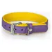 Das Lederband Hundehalsband Firenze Lilac/Sunshine