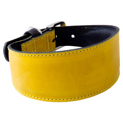 Das Lederband Windhundhalsband Vancouver Yellow/Black