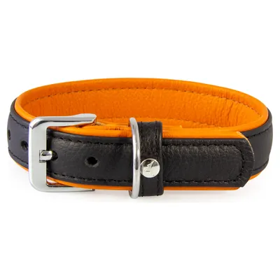 Das Lederband Hundehalsband Denver schwarz/cognac Das Lederband Hundehalsband Denver schwarz/cognac