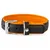 Das Lederband Hundehalsband Denver schwarz/cognac Das Lederband Hundehalsband Denver schwarz/cognac