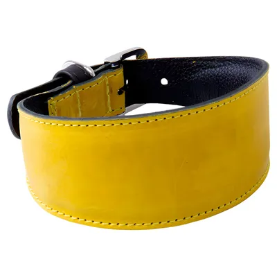 Das Lederband Windhundhalsband Vancouver Yellow/Black Das Lederband Windhundhalsband Vancouver Yellow/Black