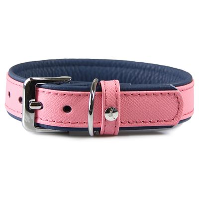 Das Lederband Hundehalsband Firenze candy/saphire