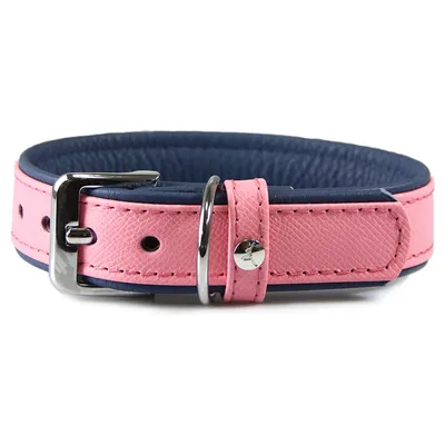 Das Lederband Hundehalsband Firenze candy/saphire Das Lederband Hundehalsband Firenze candy/saphire