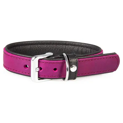 Das Lederband Hundehalsband Vancouver Violet/Black Das Lederband Hundehalsband Vancouver Violet/Black