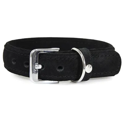 Das Lederband Hundehalsband Toronto schwarz/schwarz Das Lederband Hundehalsband Toronto schwarz/schwarz