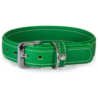 Das Lederband Hundehalsband Barcelona Summer-Green Das Lederband Hundehalsband Barcelona Summer-Green