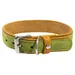 Das Lederband Hundehalsband Norden Lime/Maroon