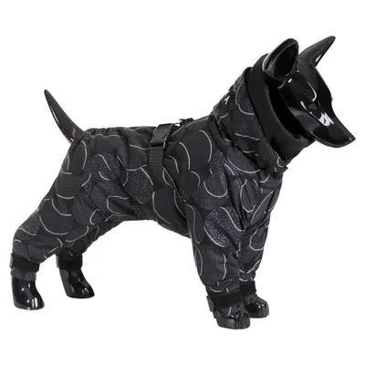 PAIKKA Hunde Overall "Winter Suit" schwarz PAIKKA Hunde Overall "Winter Suit" schwarz