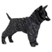 PAIKKA Hunde Overall "Winter Suit" schwarz