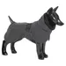 PAIKKA Hunde Winter-Jacke reflektierend "Visibility" grau/dark