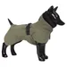 PAIKKA Hunde Winter-Jacke reflektierend "Visibility" grün
