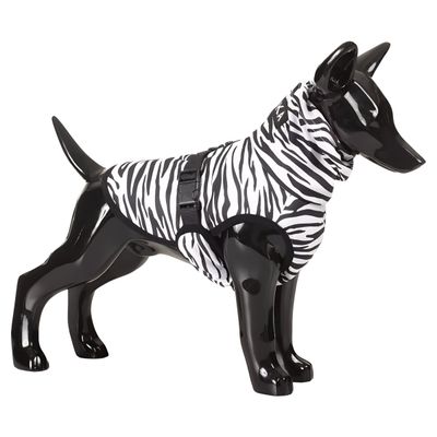 PAIKKA Hunde Kühlweste Antiparasit "Cool & Bug vest"