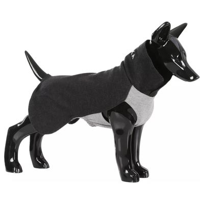 PAIKKA Hunde Pullover wärmend "Recovery Winter Shirt“ grau