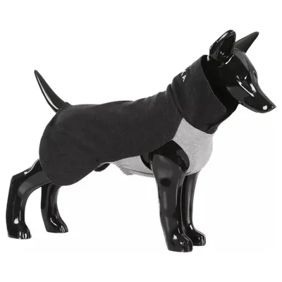 PAIKKA Hunde Pullover wärmend "Recovery Winter Shirt“ grau PAIKKA Hunde Pullover wärmend "Recovery Winter Shirt“ grau