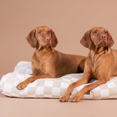 PAIKKA Hundematratze kariert beige