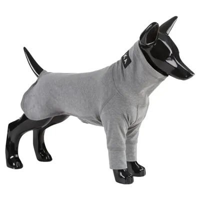 PAIKKA Hunde Shirt leicht & wärmend "Recovery shirt" PAIKKA Hunde Shirt leicht & wärmend "Recovery shirt"